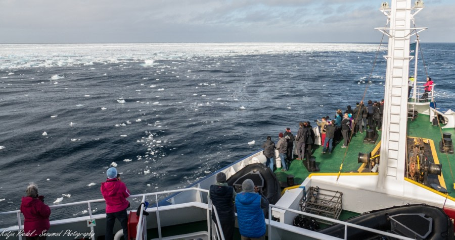 PLA09-18, Day 4 20180709_Katja Riedel_P2070451-Oceanwide Expeditions.jpg