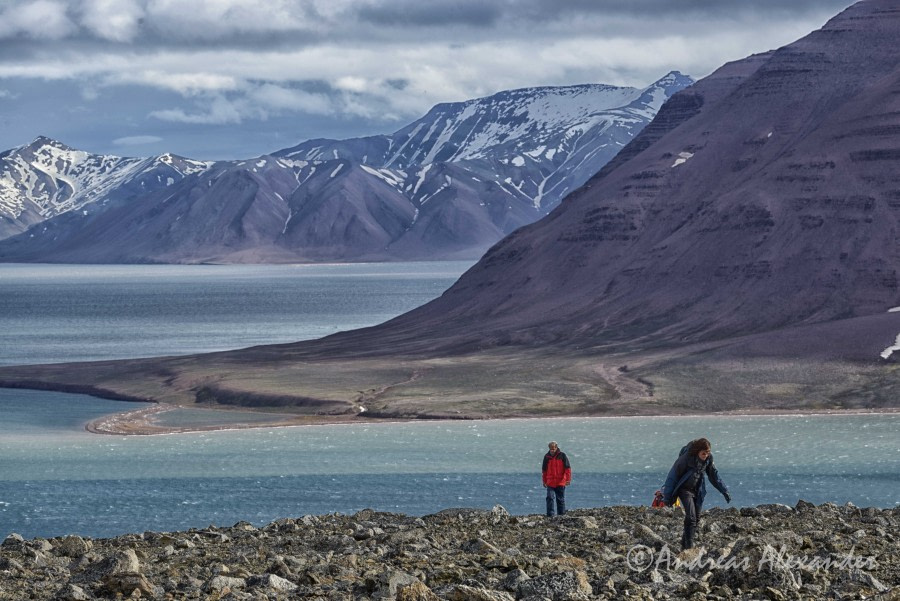 Bockfjorden und Moffen