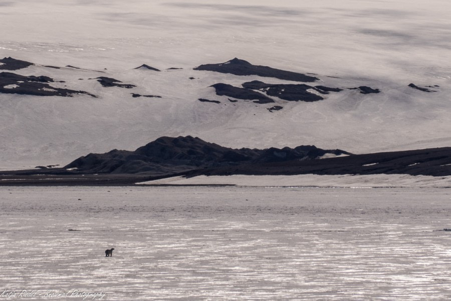 PLA08-18, DAY 5 20180703_Katja Riedel_P2070059-Oceanwide Expeditions.jpg