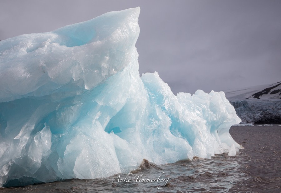 PLA09-18, Day 8 1V5A8039Anke_Timmerberg (1)-Oceanwide Expeditions.jpg