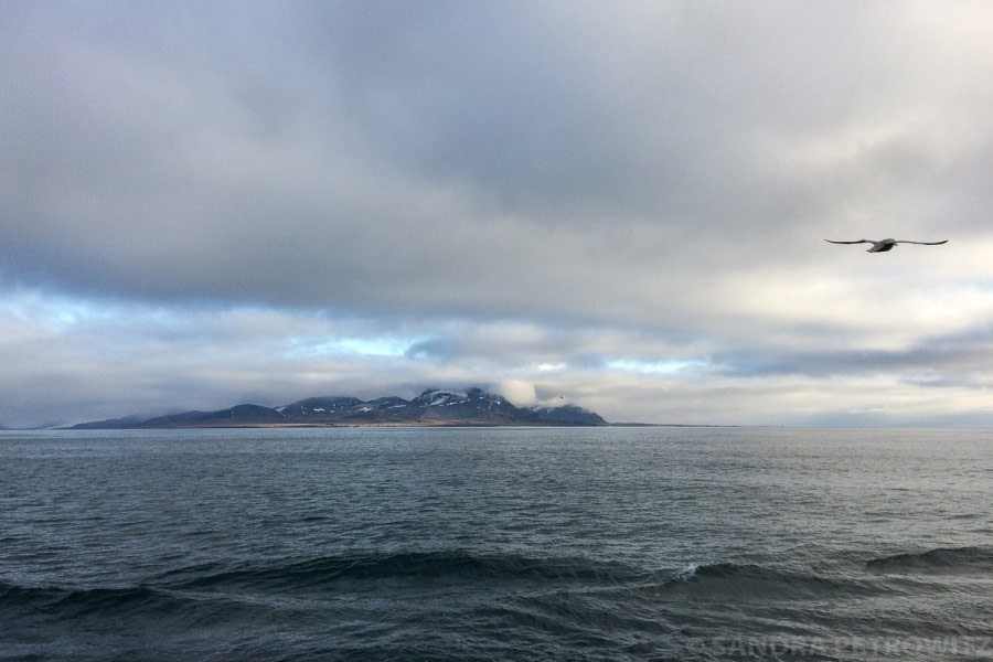 PLA13-18 Day01_20180811_Leaving_Isfjorden_SandraPetrowitz-Oceanwide Expeditions.jpg