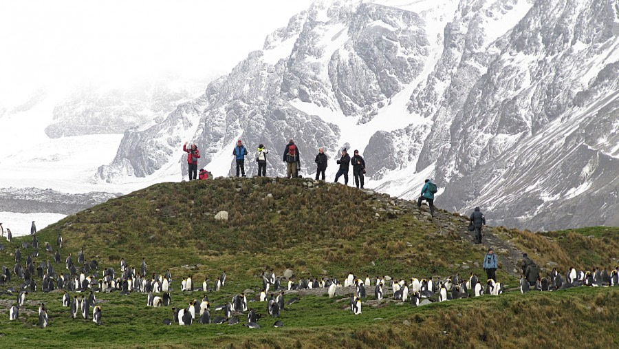 People overlooking St. Andrews bay, South Georgia