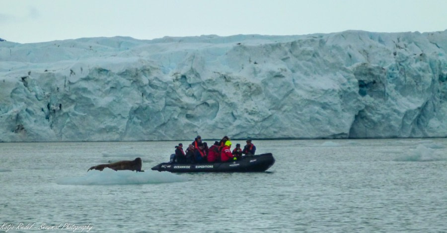 PLA08-18, DAY 3 20180701_Katja Riedel_1000018-Oceanwide Expeditions.jpg