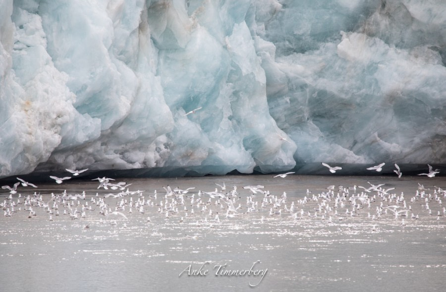 PLA08-18, DAY 7 1V5A6819_Anke Timmerberg (3)-Oceanwide Expeditions.jpg