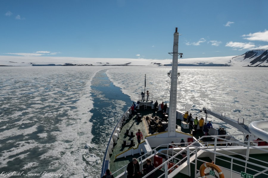 PLA08-18, DAY 5 20180703_Katja Riedel_P2070078-Oceanwide Expeditions.jpg