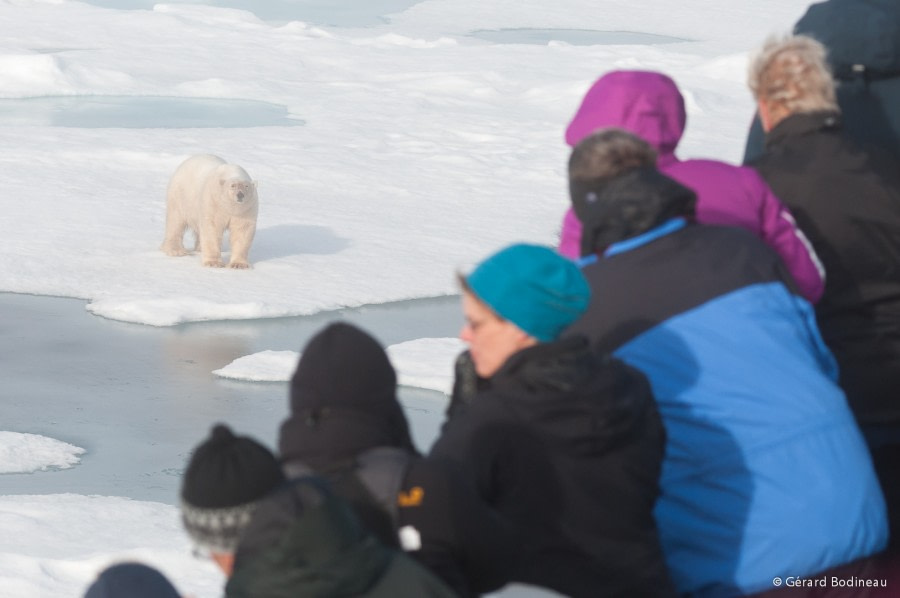 PLA13-18 Day05-02_ArcticOcean_WatchingPolarBear_GerardBodineau-Oceanwide Expeditions.jpg