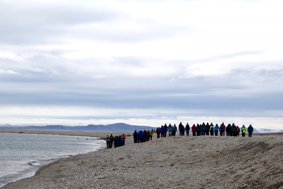 PLA14-18 Day 3 220818humans and walrus_shelli-Oceanwide Expeditions.JPG