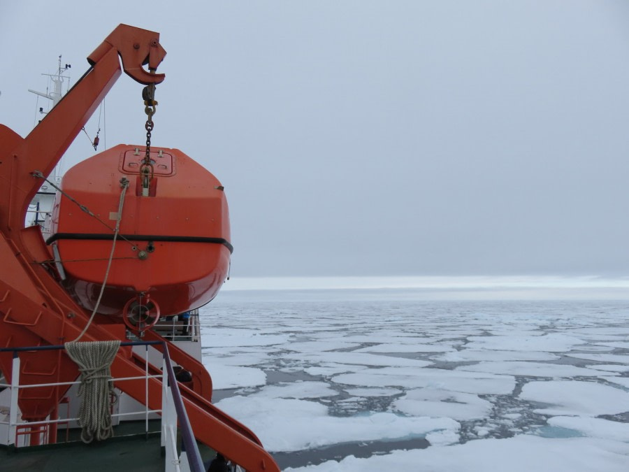 OTL09-18, Day 5 seaice1-Oceanwide Expeditions.JPG