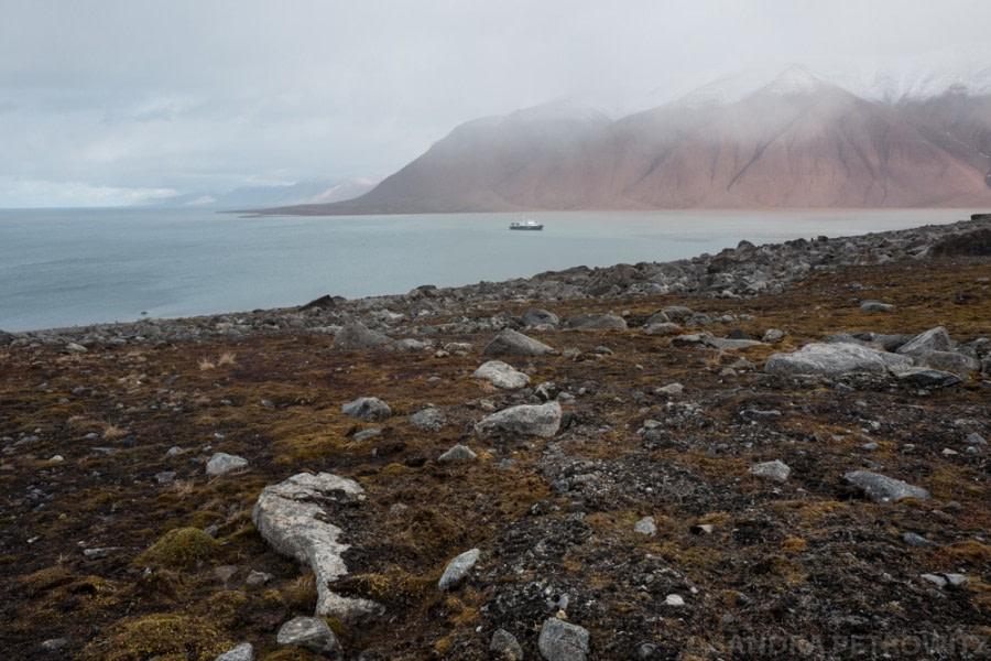 PLA15-18 Day 3 Day3_20180831_Bockfjorden_SandraPetrowitz-Oceanwide Expeditions.jpg