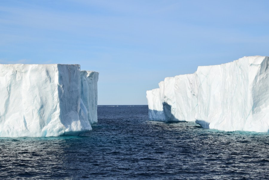 PLA16-18 Day 4 Day 4 Tabu3_shelli-Oceanwide Expeditions.JPG