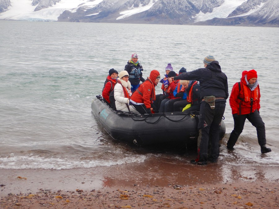 PLA16-18 Day 2 Raudfjord6 Alice beach-Oceanwide Expeditions.jpg