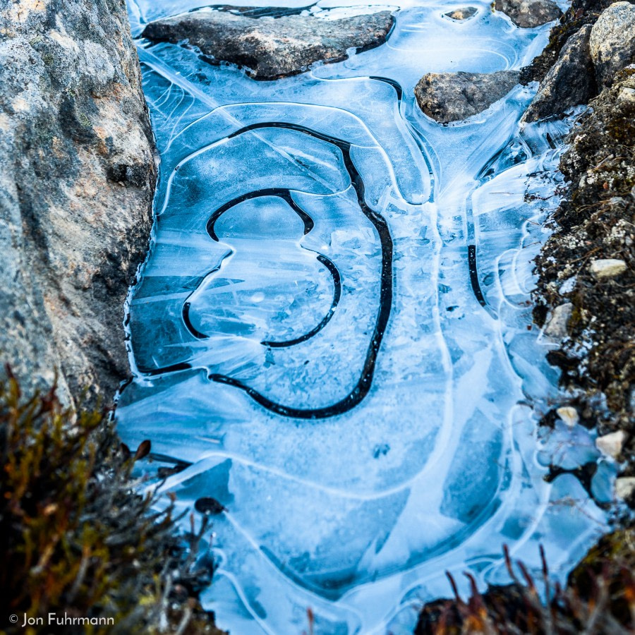 PLA17-18 Day 5 2018 09 22 Jytte Havn (Bear Islands), Ingmikertikajik_2736_SM-Oceanwide Expeditions.jpg