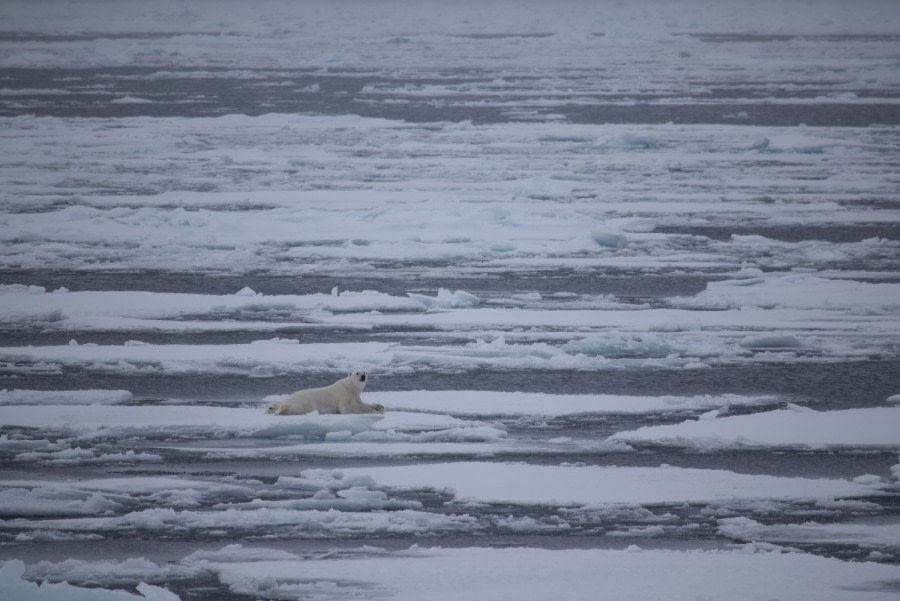 PLA15-18 Day 5 Day 5 Bearnap_shelli-Oceanwide Expeditions.JPG