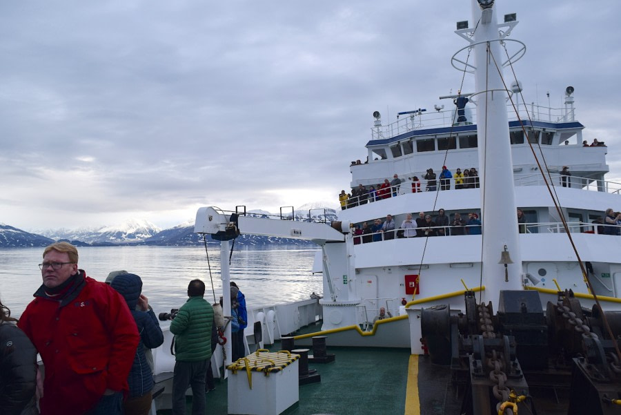 PLA16-18 Day 8 Day 8 narwhal watch_shelli-Oceanwide Expeditions.JPG