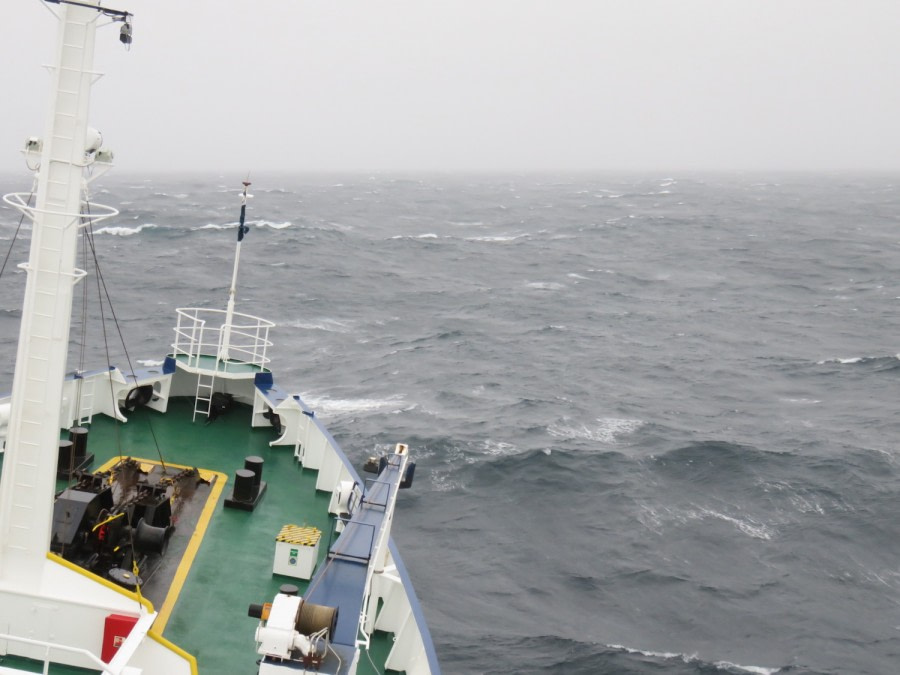 PLA16-18 Day 13 Day 13 bow1_shelli-Oceanwide Expeditions.JPG