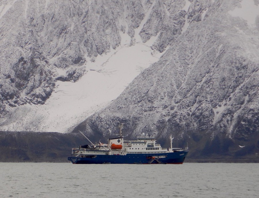 PLA16-18 Day 2 Raudfjord2 PLA-Oceanwide Expeditions.jpg