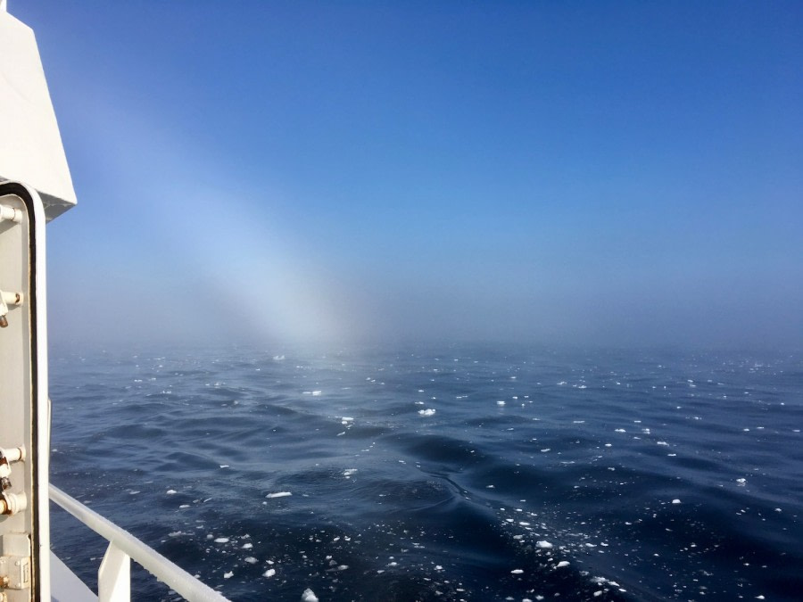 PLA16-18 Day 4 Day 4 fogbow_shelli-Oceanwide Expeditions.jpg