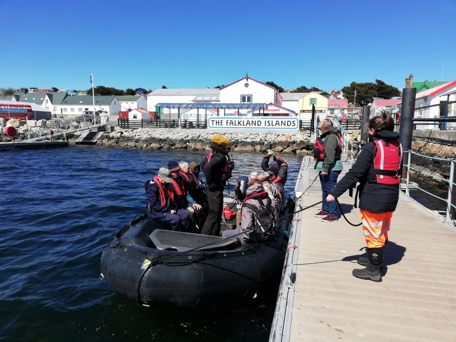 Falkland Islands: Volunteer Point & Stanley