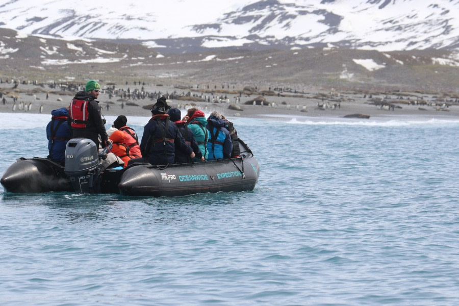 St Andrew’s Bay and Godthul, South Georgia