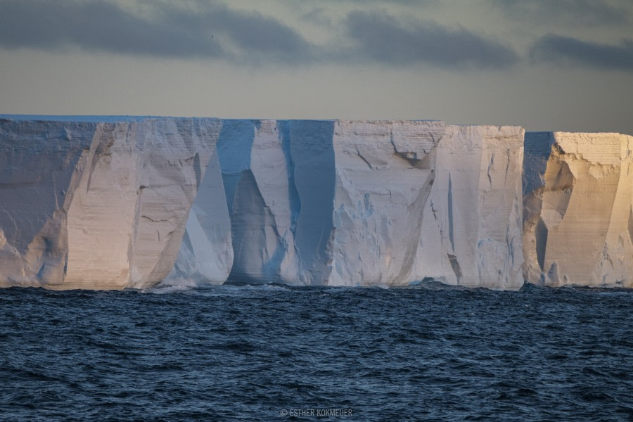 OTL22-18 - 20181109 - Drake Passage - Esther Kokmeijer-17-Oceanwide Expeditions.jpg