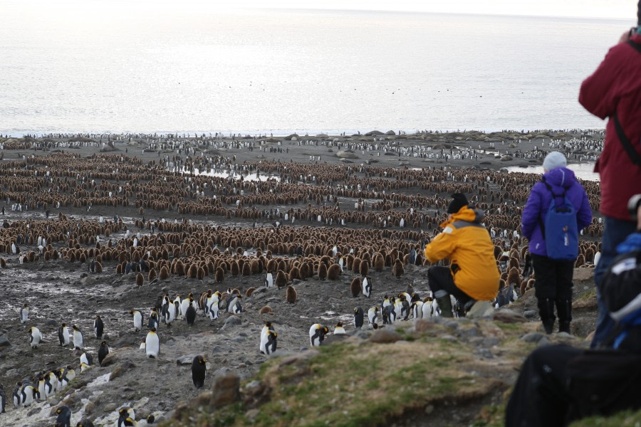 PLA21-18 - Nov 12 - PIP_2051 - Oceanwide Expeditions.JPG