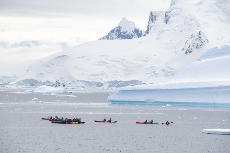 OTL22-18 - 20181111 - Waterboat Point - Esther Kokmeijer-18 - Oceanwide Expeditions.jpg