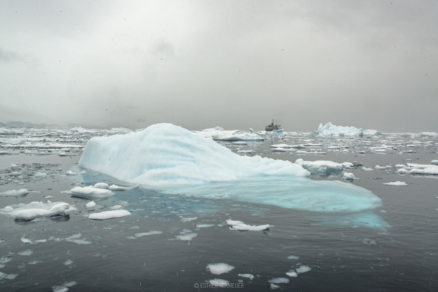 OTL22-18 - 20181113 - Zodiac Cruize - Esther Kokmeijer-11 - Oceanwide Expeditions.jpg