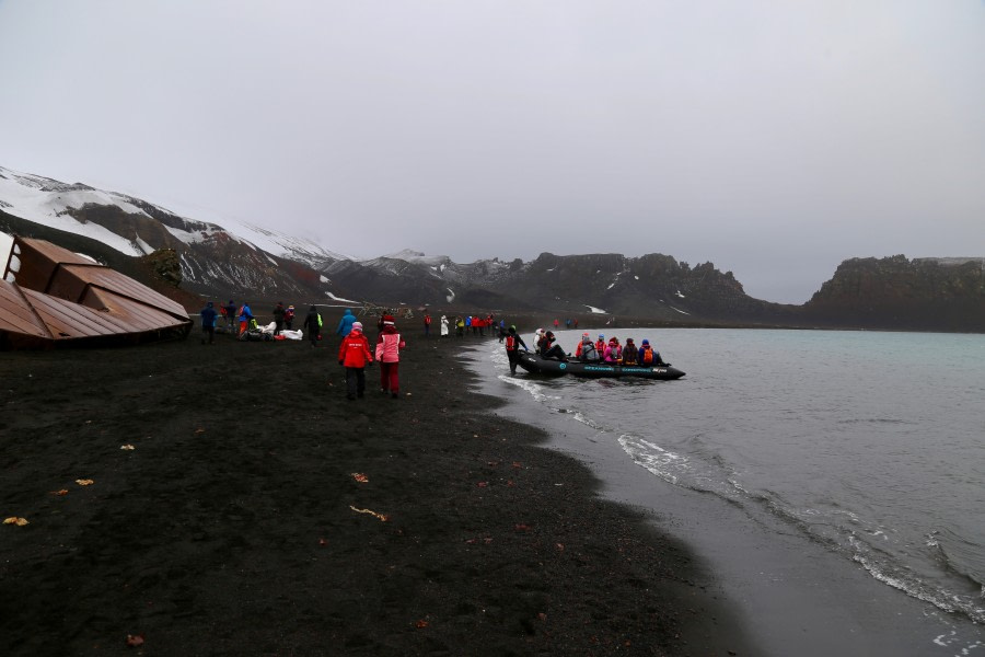 Whaler’s Bay / Half Moon Island, South Shetland Islands