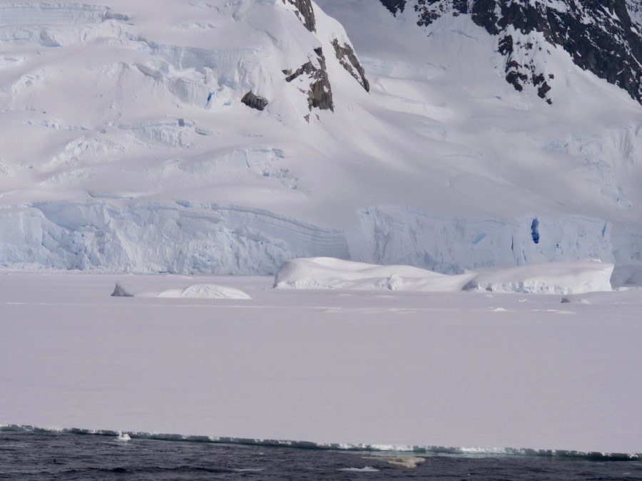 Ship Cruise: Neumayer Channel, Gerlache Strait area