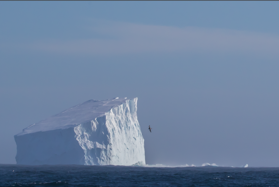 At sea, Drake Passage