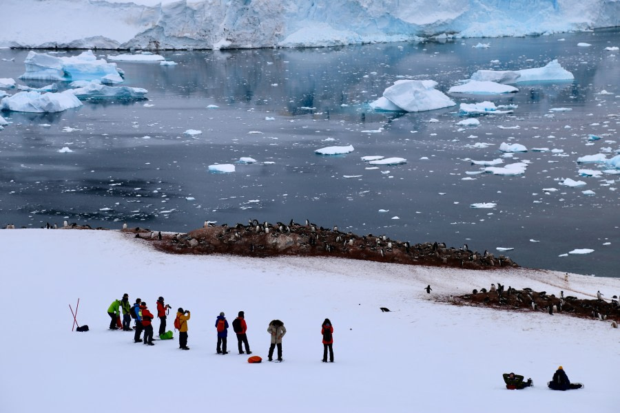 Cuverville Island / Base Brown – Skontorp Cove