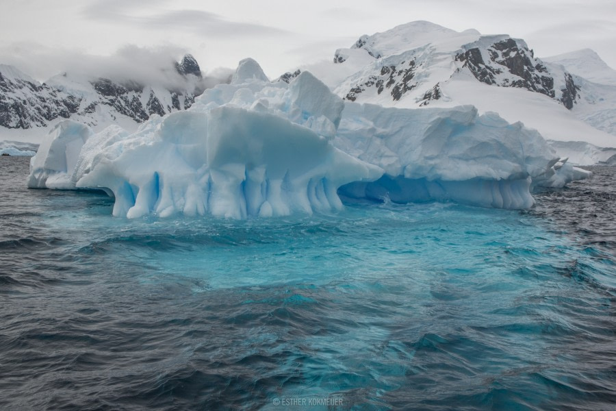 OTL22-18 - 20181110 - Zodiac Cruize - Esther Kokmeijer-35 - Oceanwide Expeditions.jpg