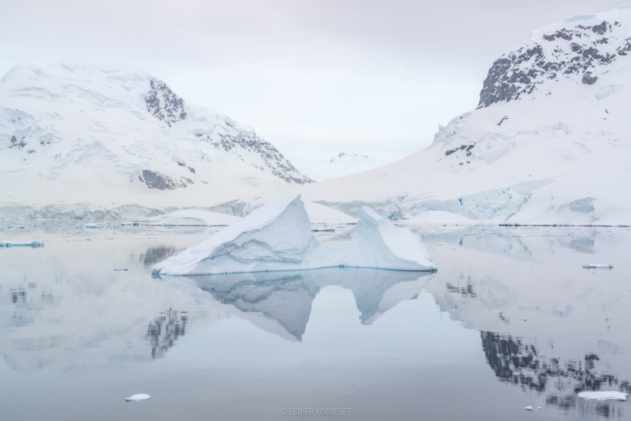 OTL22-18 - 20181111 - Paradise Harbour - Esther Kokmeijer-10 - Oceanwide Expeditions.jpg