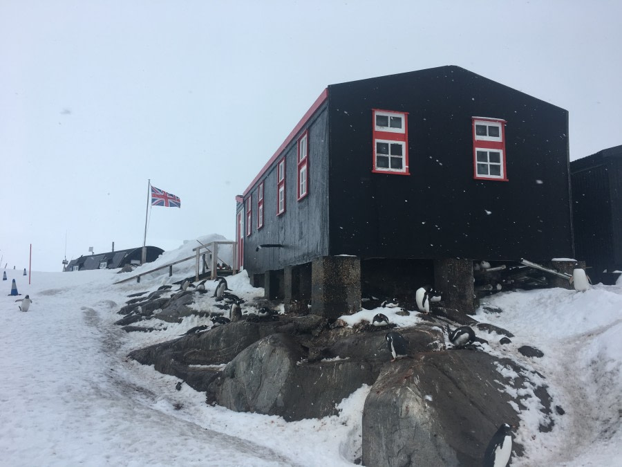 Damoy Point and Port Lockroy