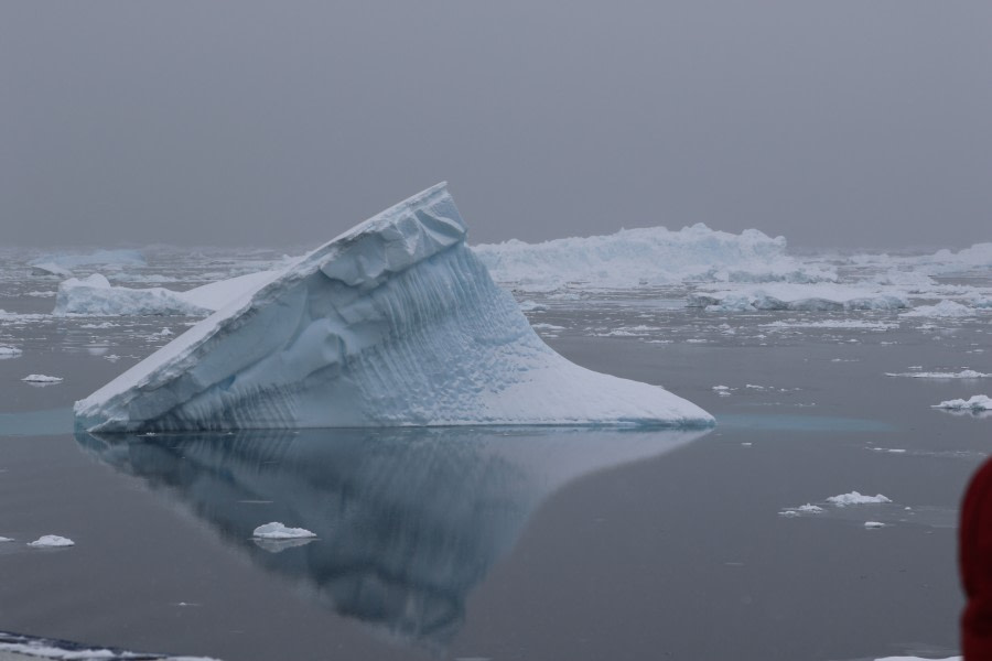 Wilhelmina Bay, Antarktis