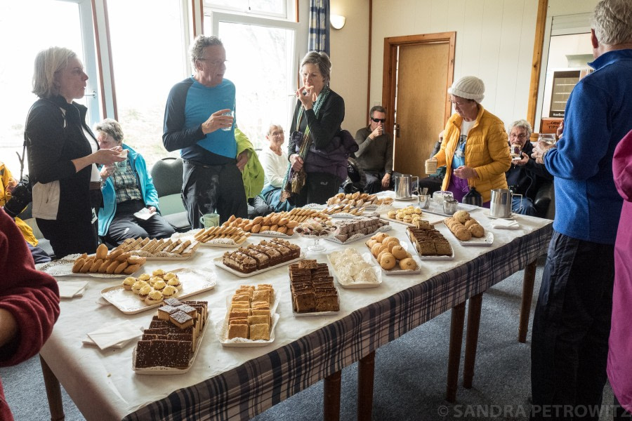 PLA25-18 FALKLANDS, 20190111_SandraPetrowitz_L1060518 -Oceanwide Expeditions.jpg