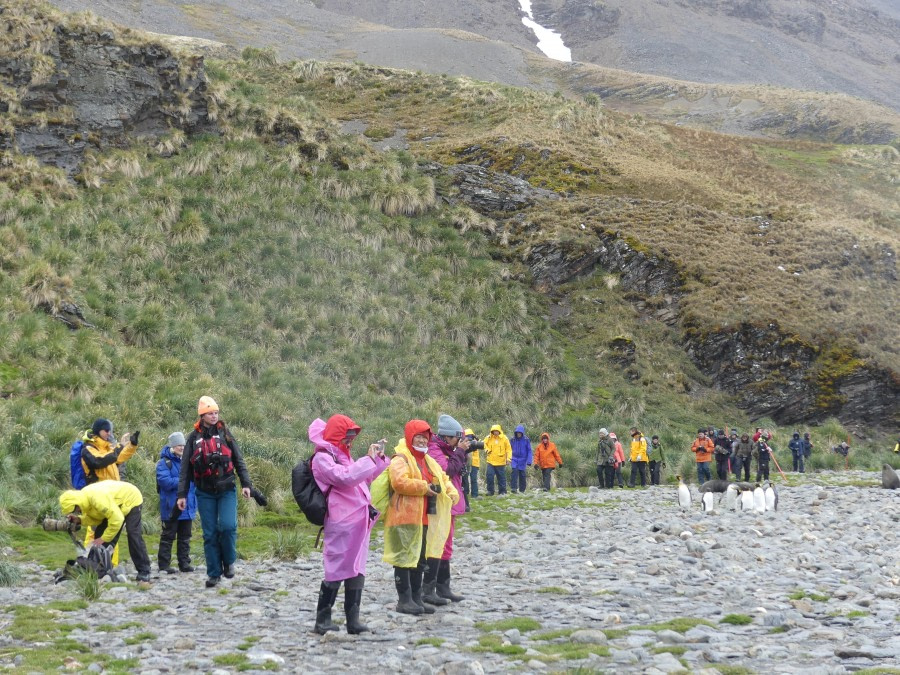 PLA23-18, 9 DEC, Passengers at Fortuna -Oceanwide Expeditions.jpg