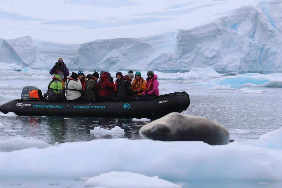 PLA25-18 DANCO & BROWN, leopard&zodiac_pippa -Oceanwide Expeditions.jpg