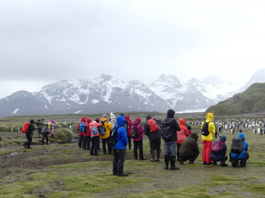 PLA23-18, 9 DEC, Salisbury Plain passengers -Oceanwide Expeditions.jpg