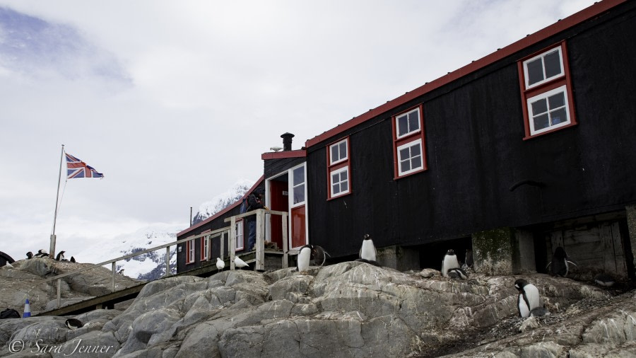 PLA25-18 NEKO & LOCKROY, port lockroy-2 -Oceanwide Expeditions.jpg