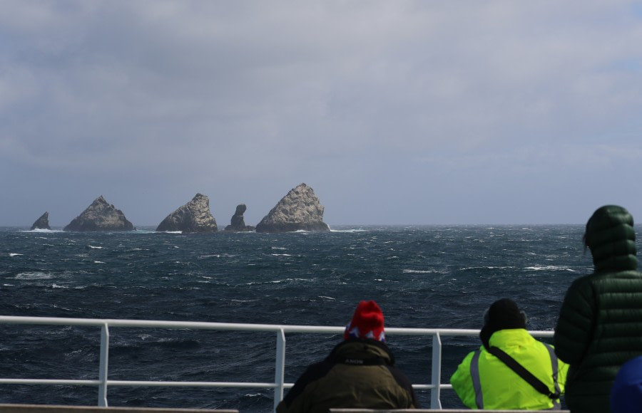 PLA25-18 AT SEA, shagrocks_pippa -Oceanwide Expeditions.jpg