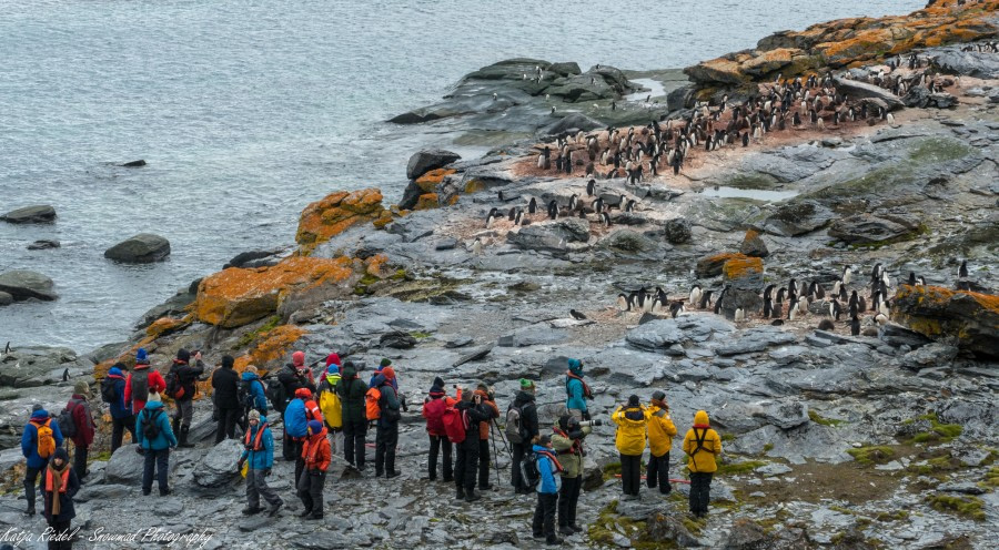 South Orkneys & Sea day, en route to Antarctica