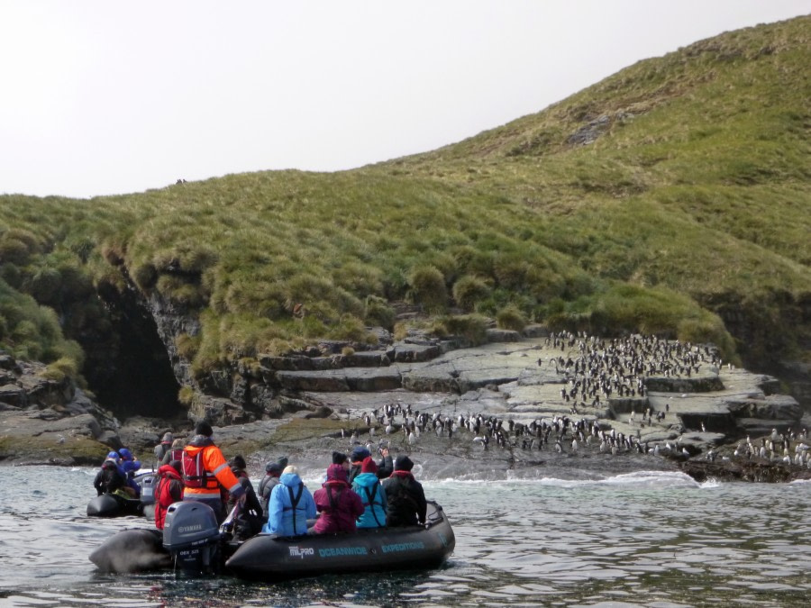 PLA24-18, 29th Zodiak Cruise -Oceanwide Expeditions.jpg