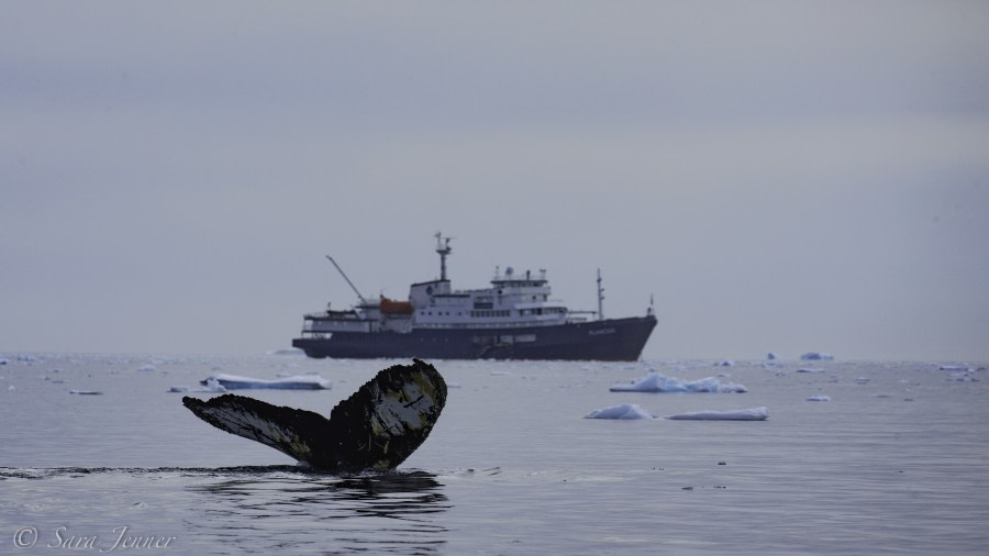 Enterprise Island & Portal Point, Antarctic Peninsula