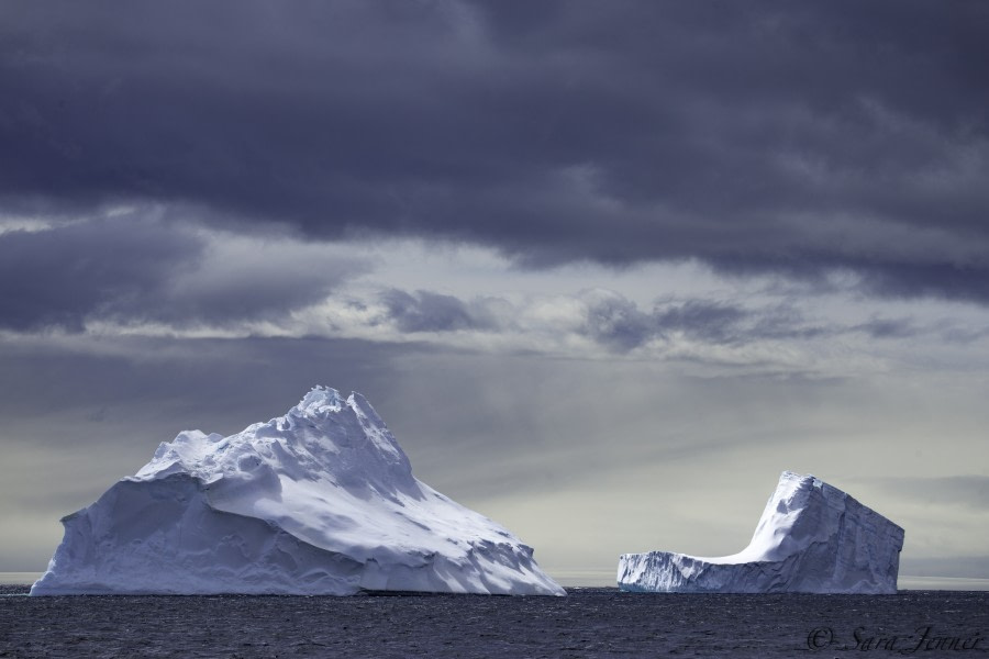 PLA24-18, 2nd Icebergs -Oceanwide Expeditions.jpg