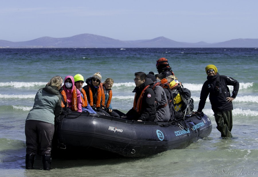 PLA24-18, 24th zodiac carcass -Oceanwide Expeditions.jpg