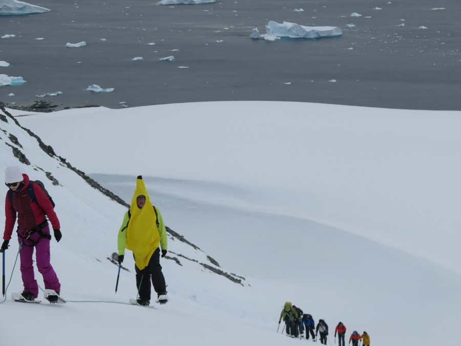 OTL27-19 02 Georges Point banana Man - Mal Haskins -Oceanwide Expeditions.JPG