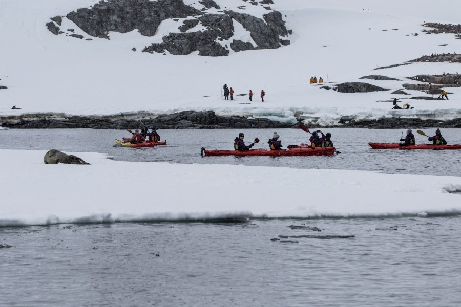 Damoy Point/Dorian Bay, Peltier Channel & Port Lockroy