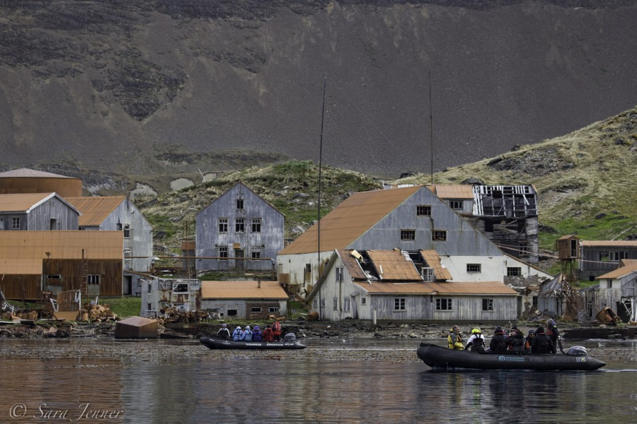 PLA24-18, 30th zodiac cruise at leith -Oceanwide Expeditions.jpg