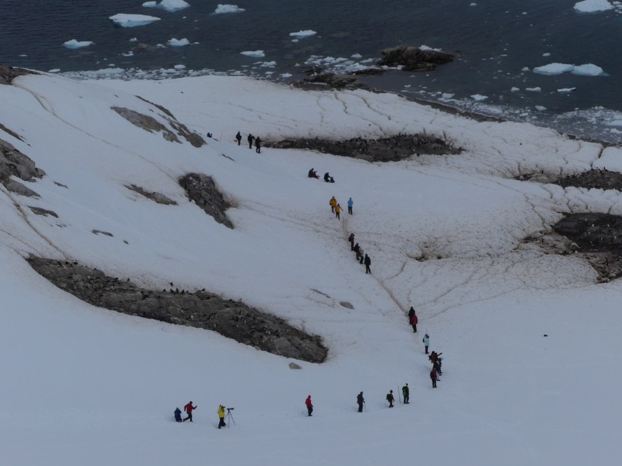 PLA23-18, 18 DEC, Hike at Neko -Oceanwide Expeditions.jpg